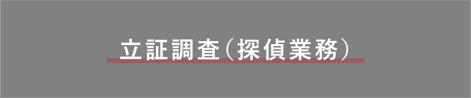 立証調査（探偵業務）