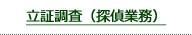 立証調査（探偵業務）